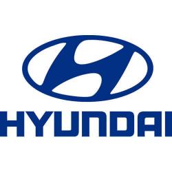  Stahlflexleitungen für  Hyundai...
