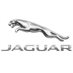  Stahlflexleitungen für  Jaguar Autos...